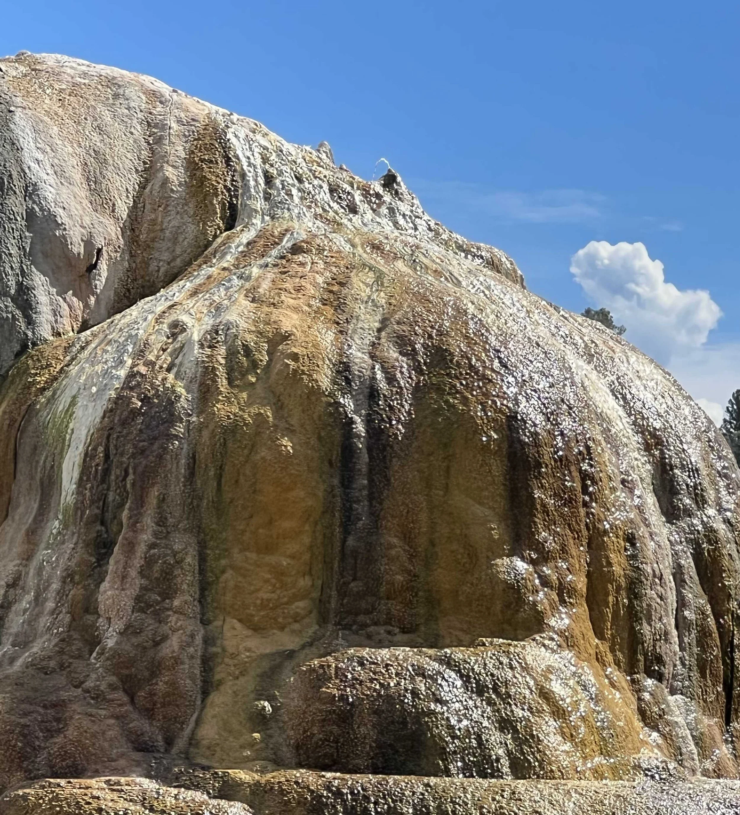  we liked that this looked like a drinking fountain 