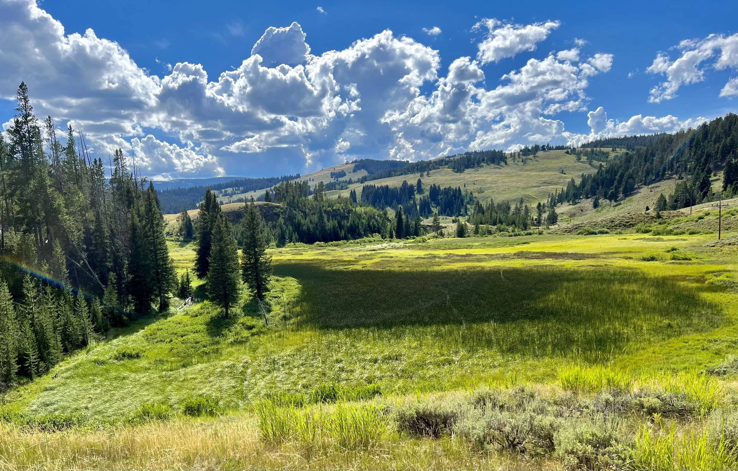  heading to our campsite from Mammoth 