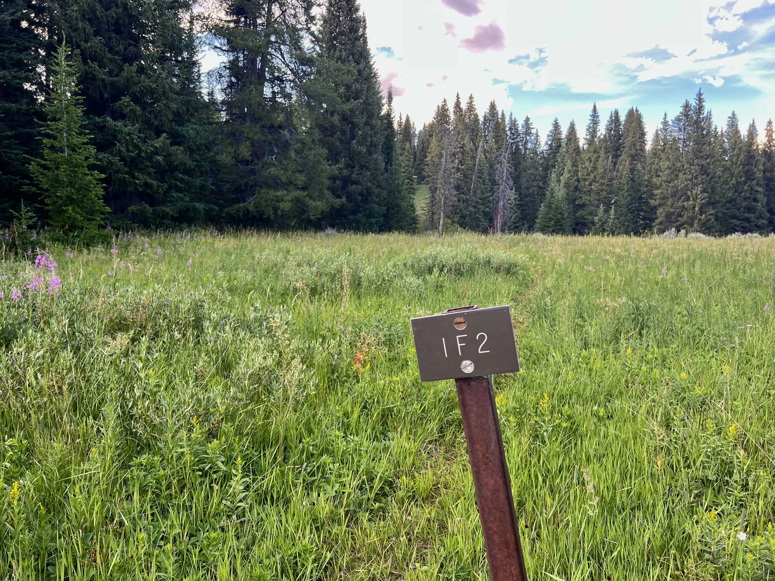  the trail to our campsite 