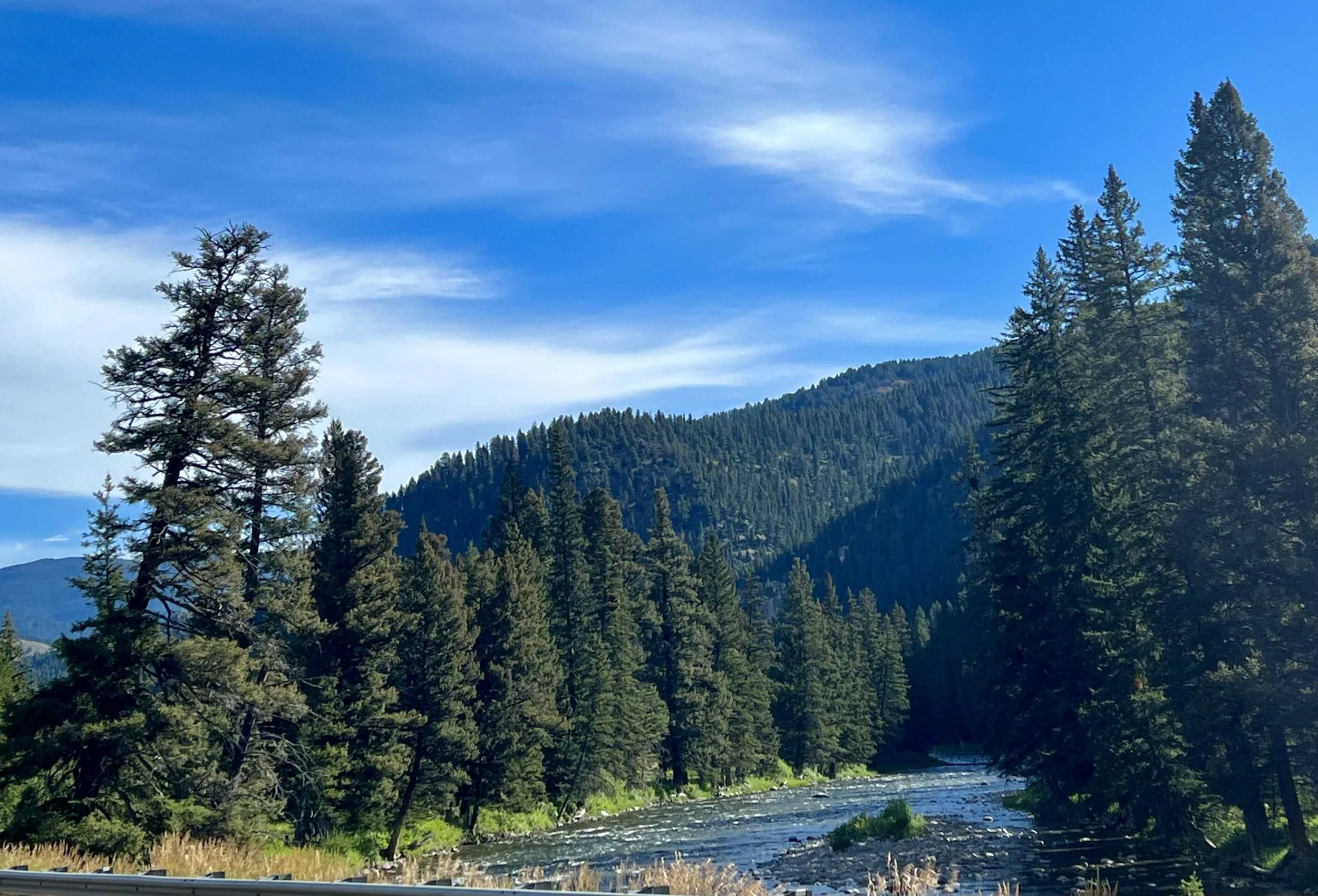  one of the many views of the river, which sounded very soothing when there weren’t any vehicles rushing past me 