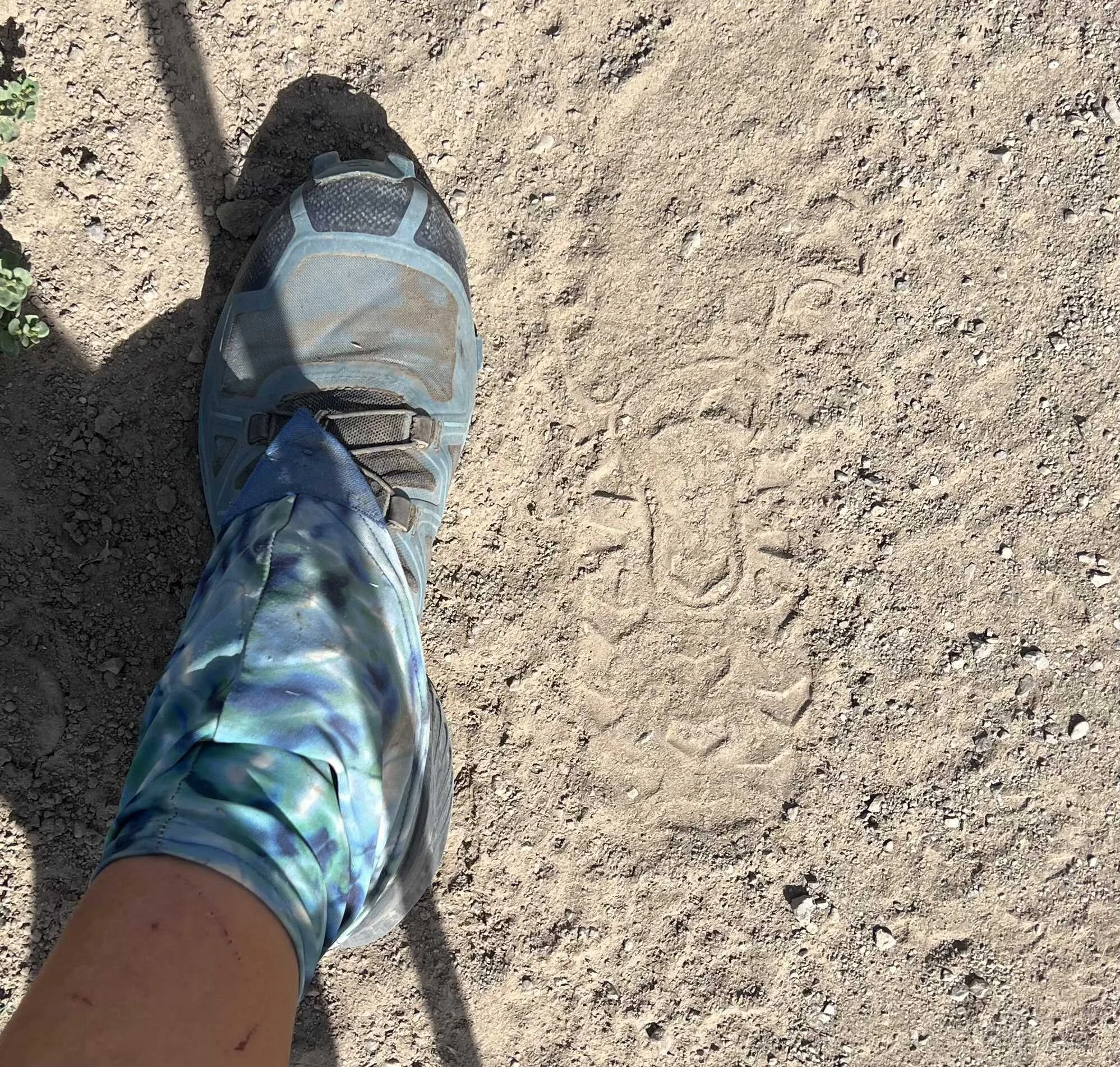  husband tracks on the bike path! 