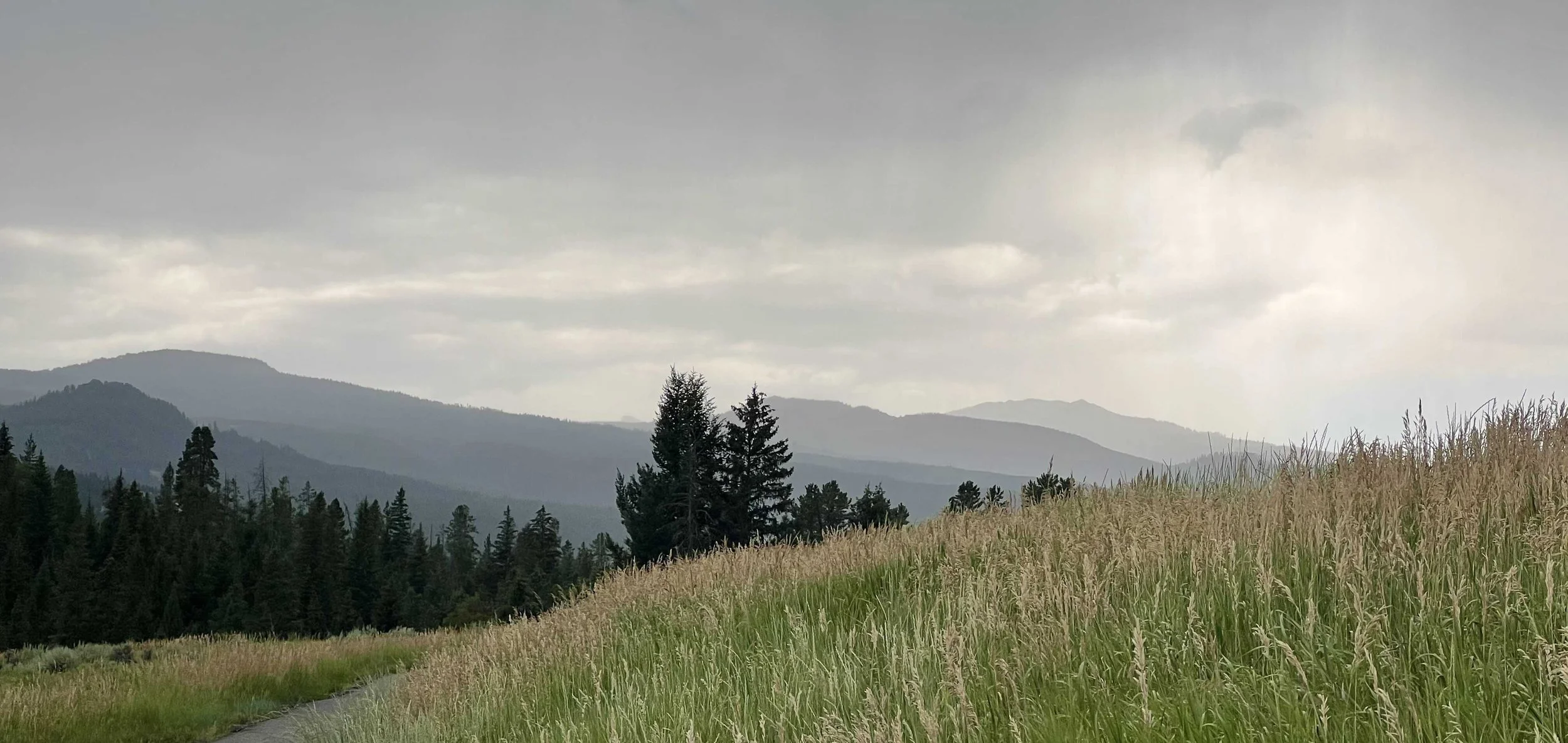  a beautiful, rainy view from the bike path 
