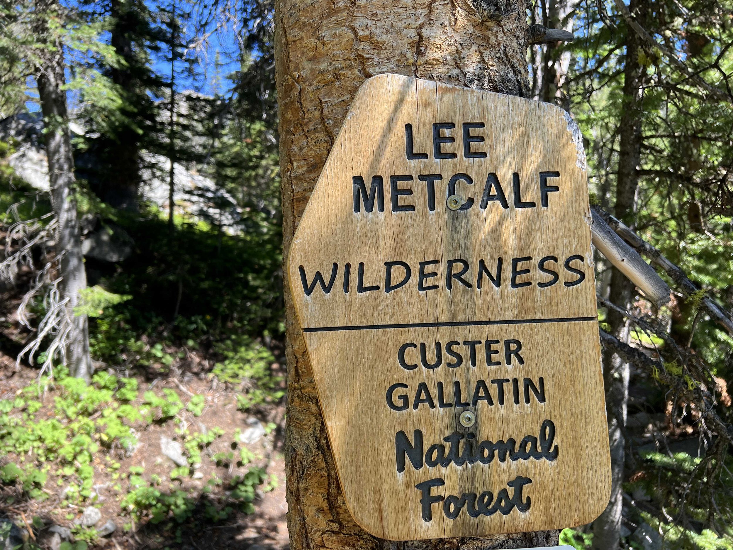  Lee Metcalf wilderness, Custer Gallatin National Forest 