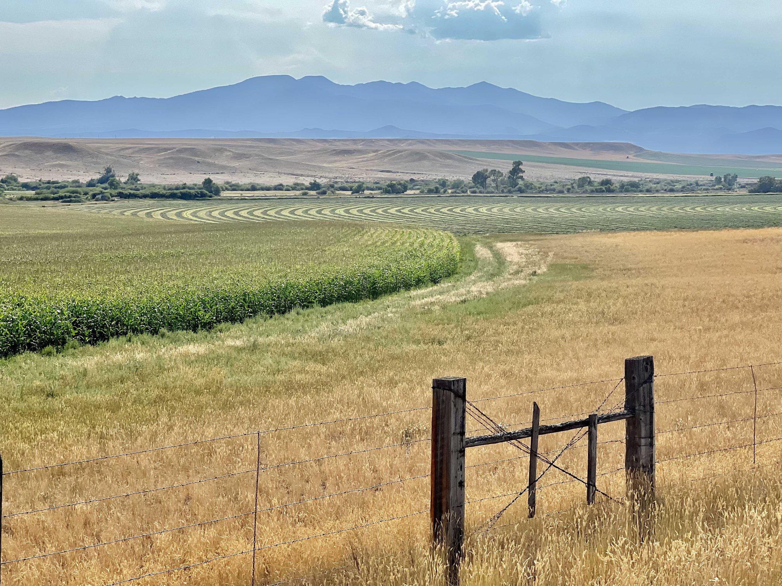  I enjoyed the lines in the fields 