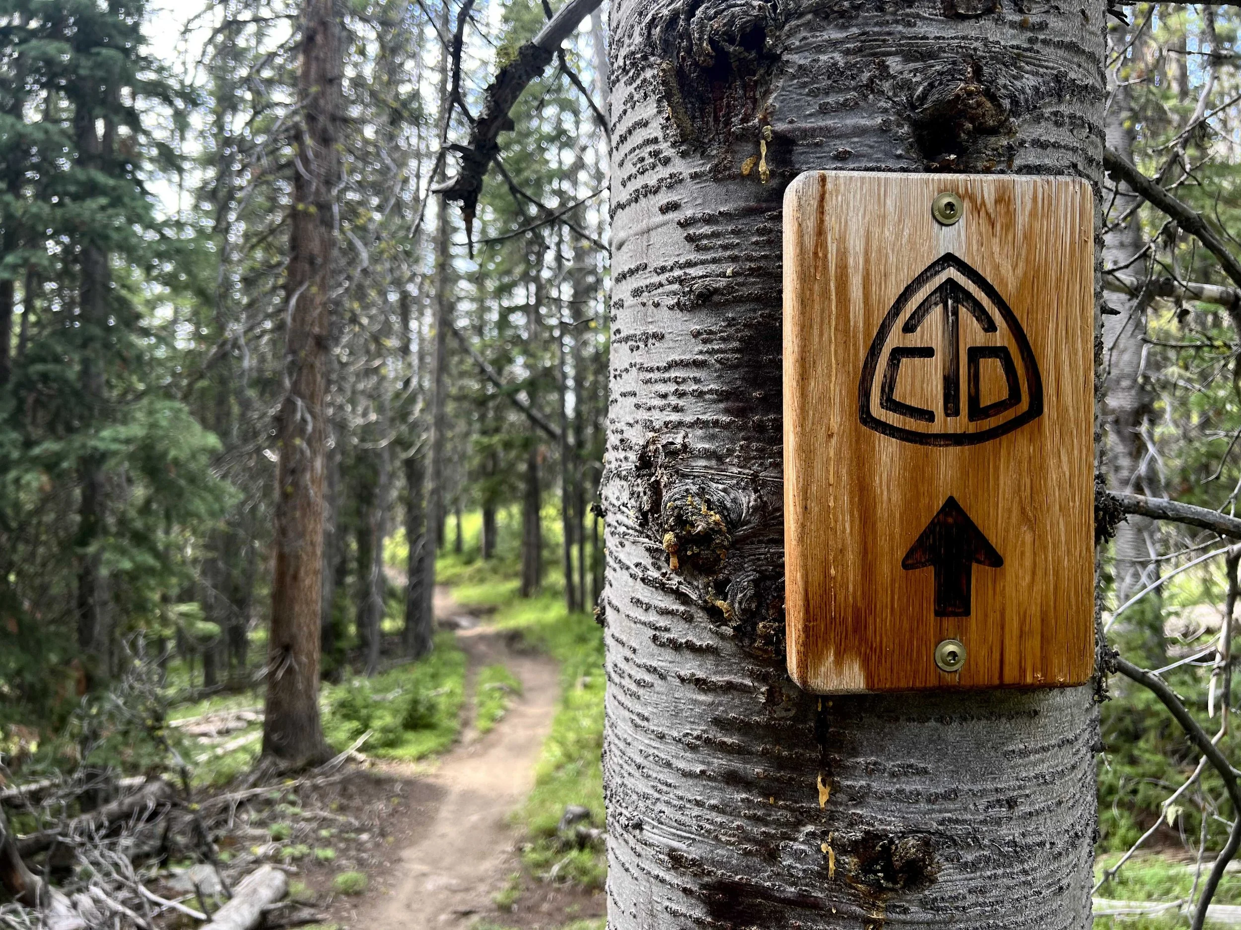  back on the CDT! Excited to use the wonderful FarOut app again - CalTopo was not my favorite 