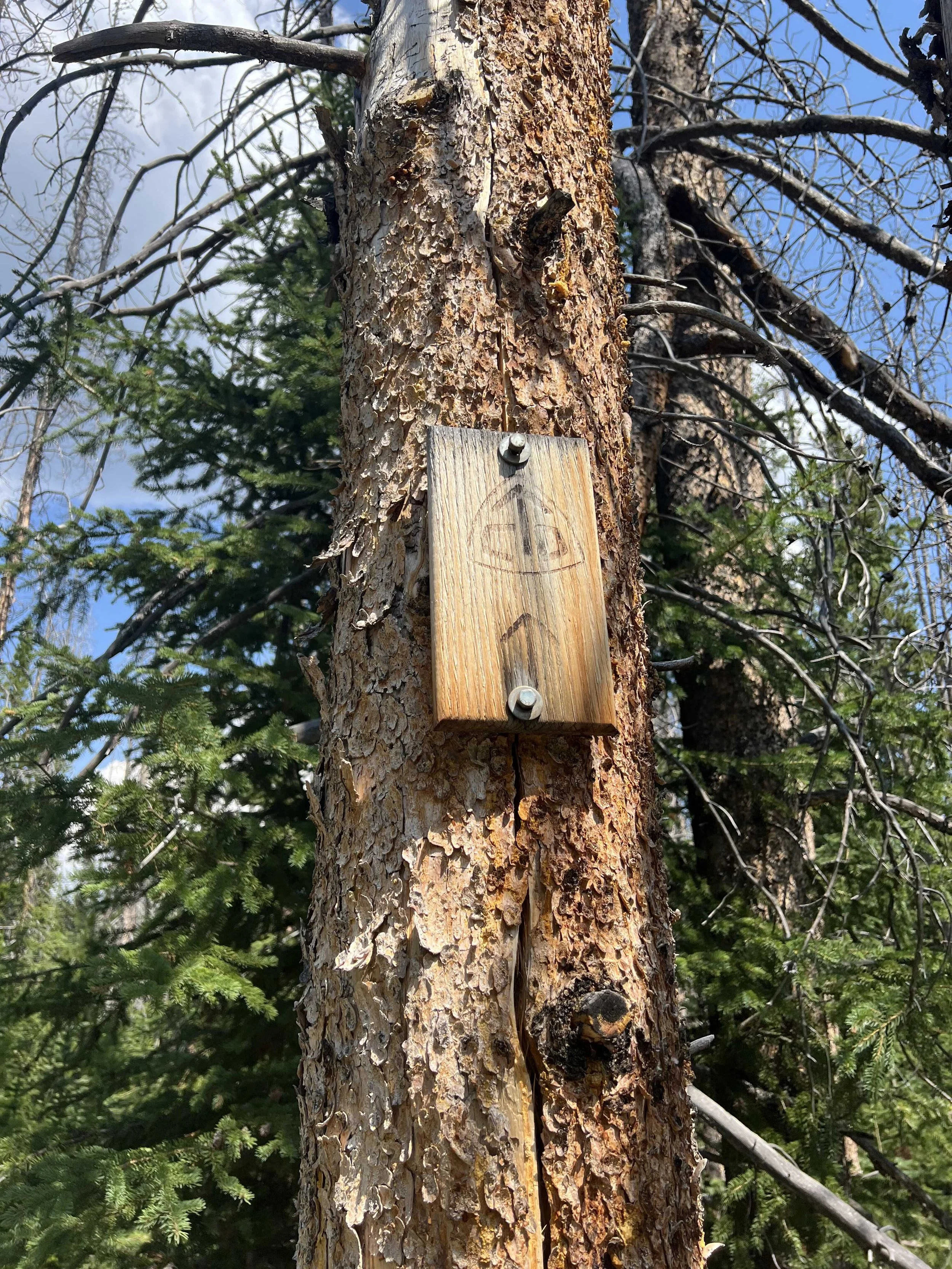  a trail marker on the former CDT, which, again, was a very nice trail 