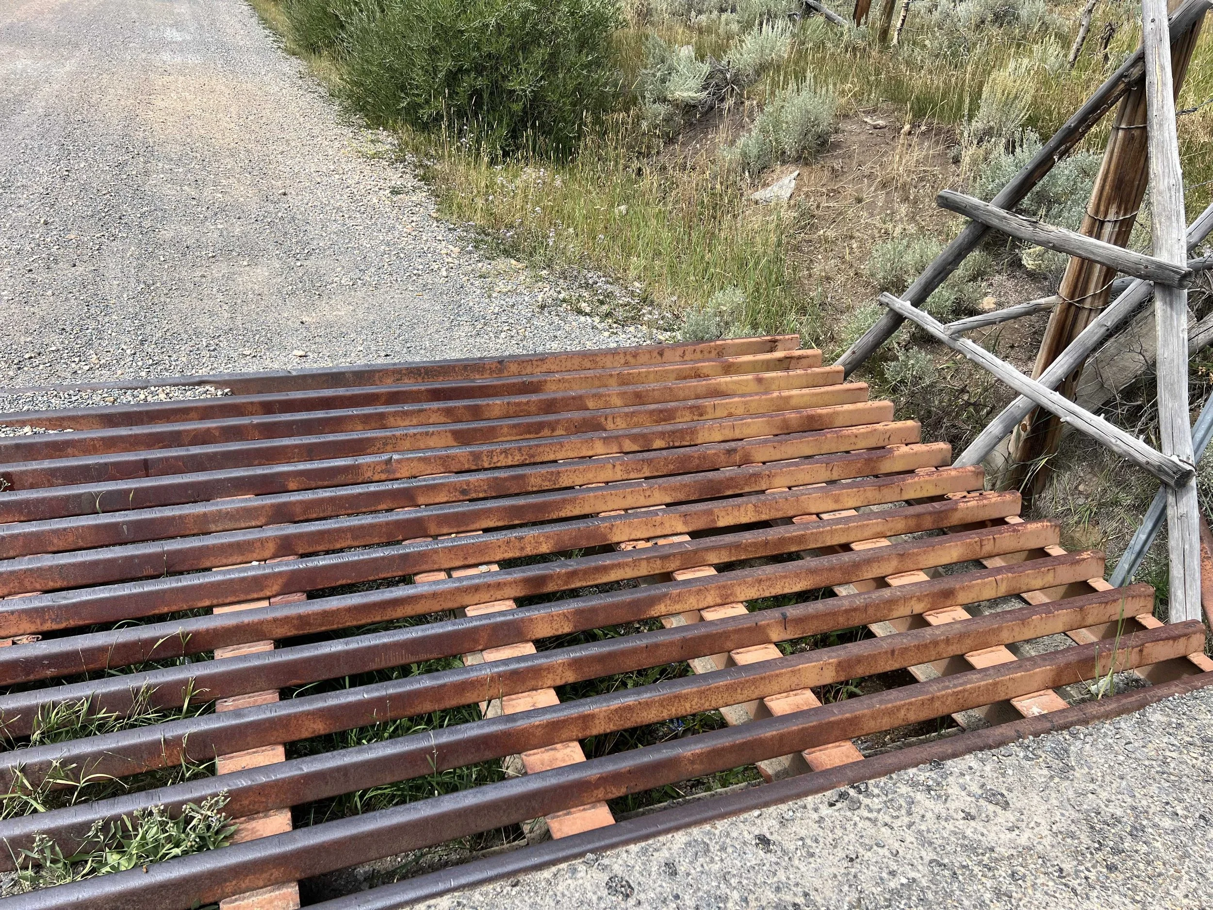  confession: every time I go over a cattle guard I wonder if a cow has ever existed able to go over one. 