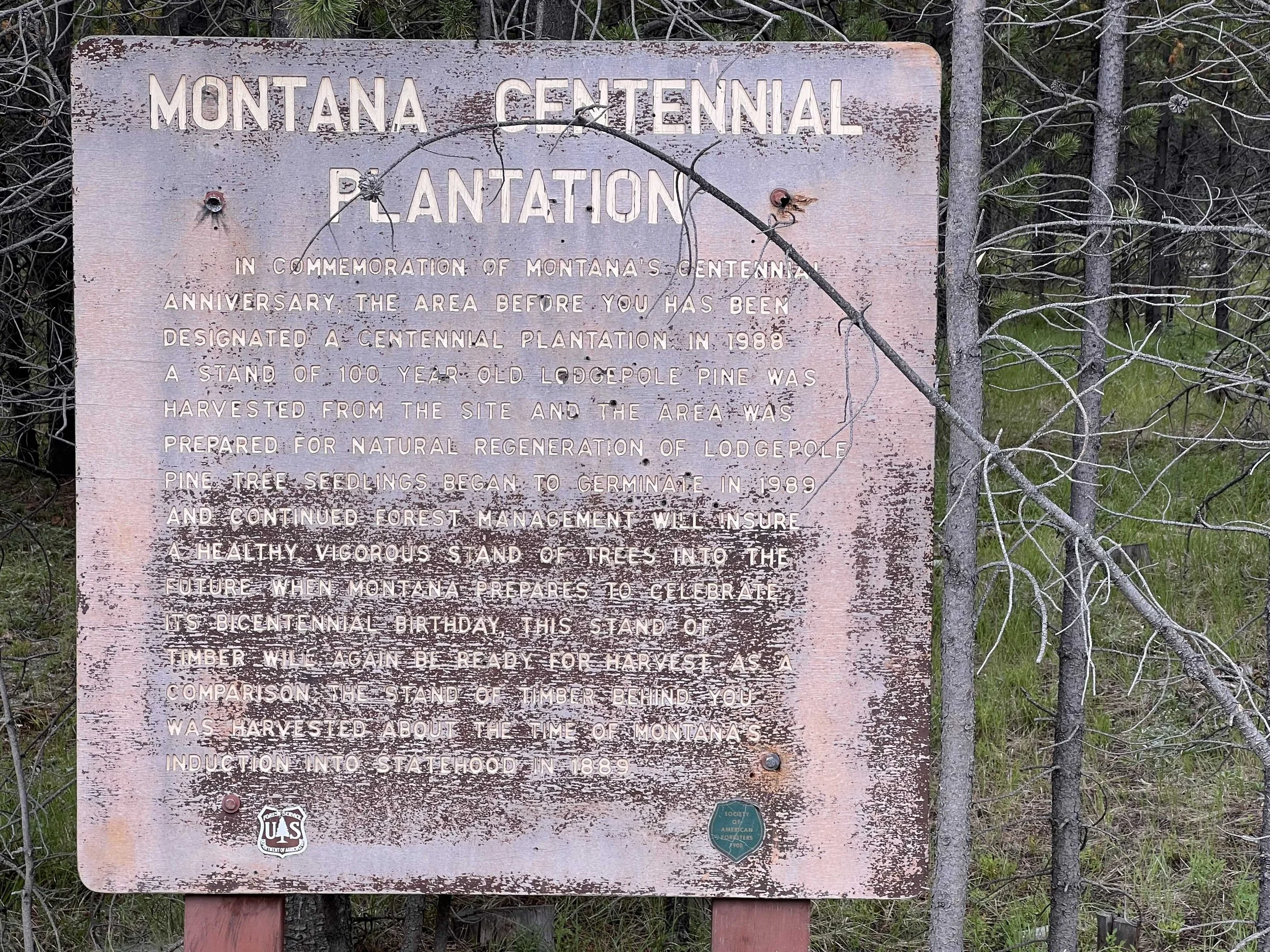  interesting info about the Montana Centennial Plantation we walked by 