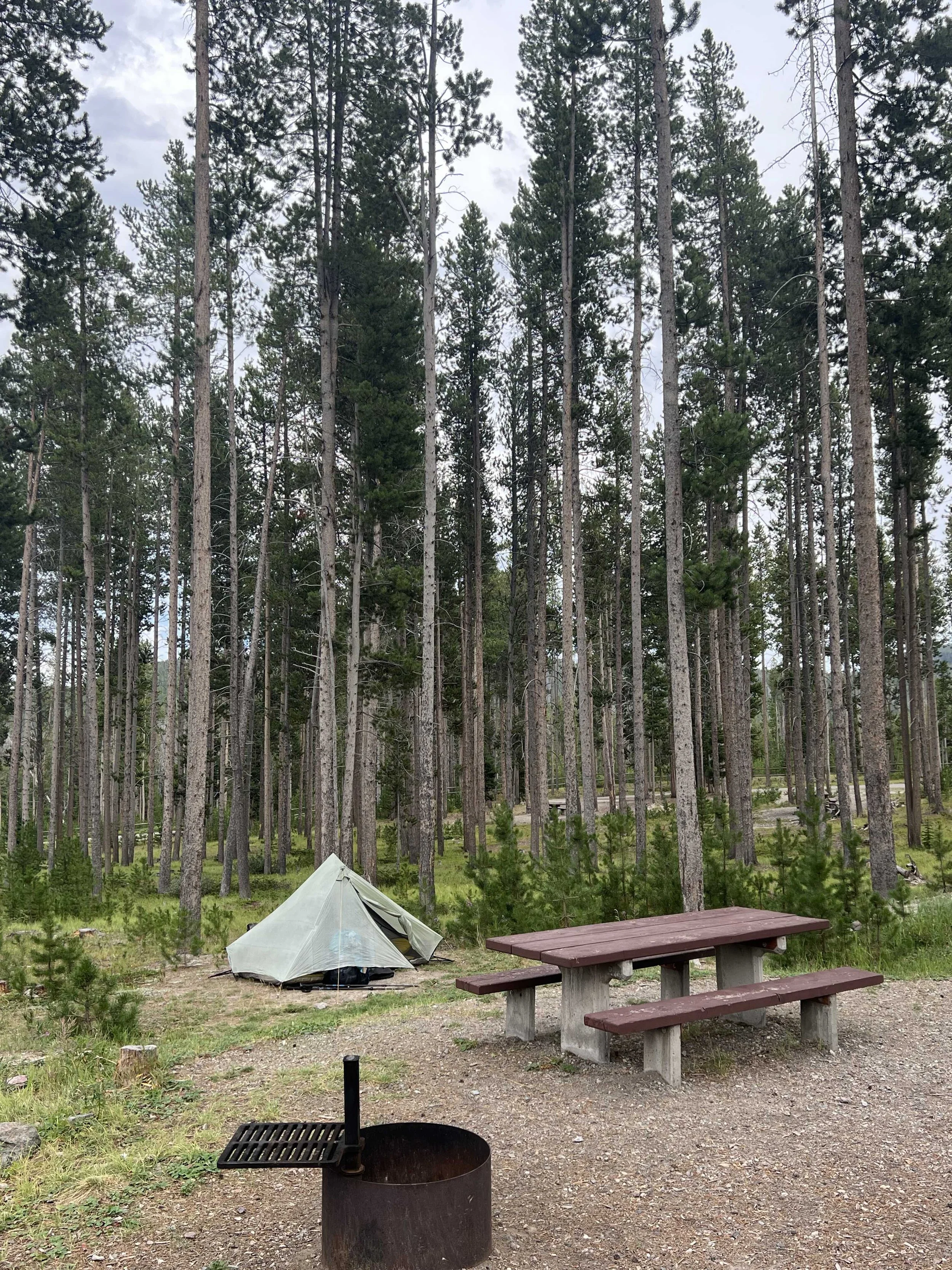  site 2 