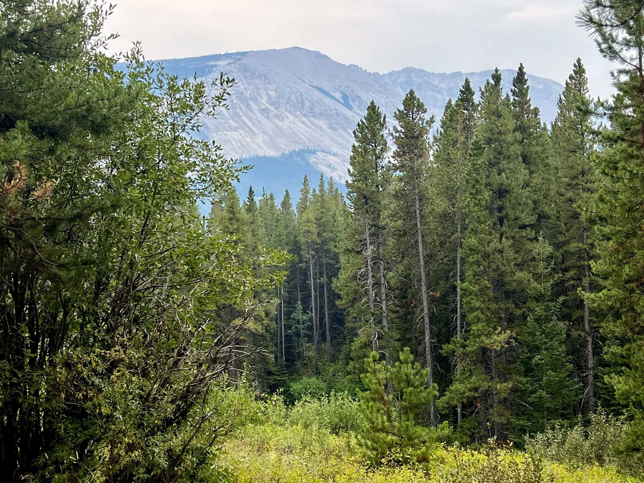  view from camp 