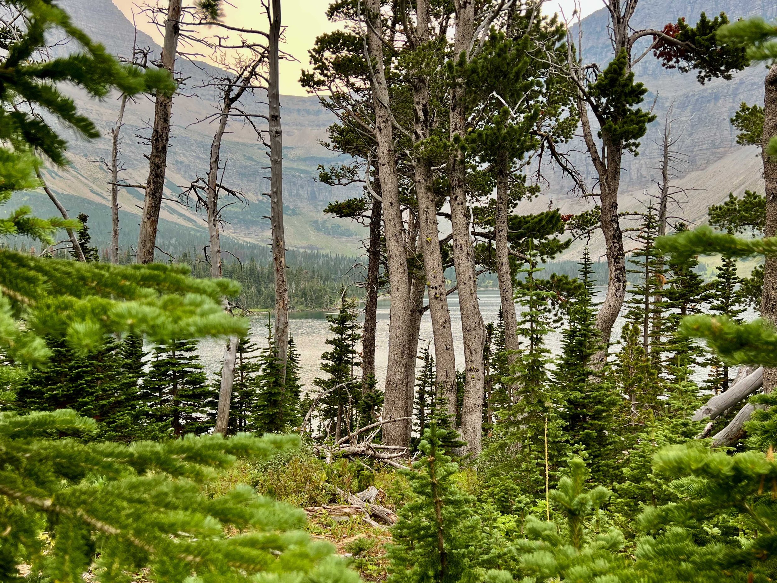 IMG_7065_copy.jpeg