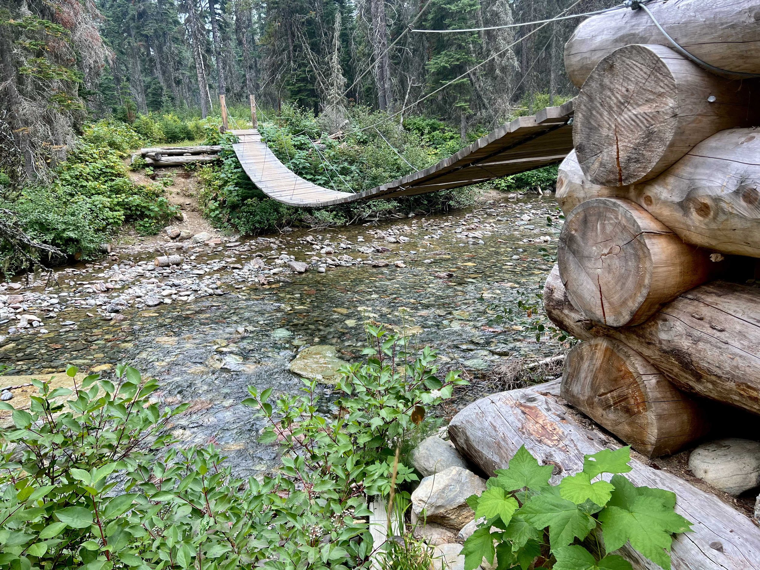  the suspension bridge across Reynolds Creek - suspension bridges are the best 
