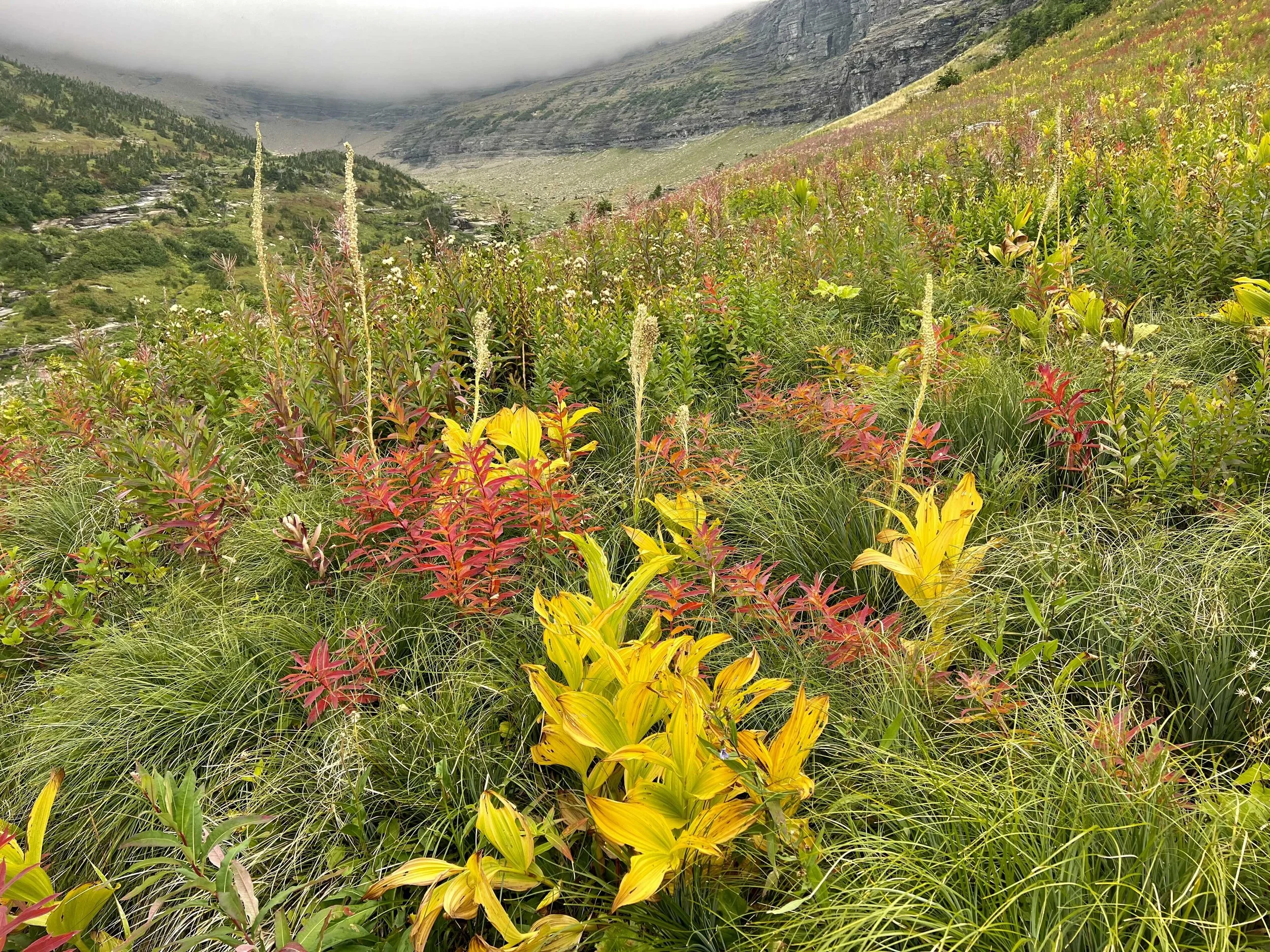  I loved the colors on the mountainside 