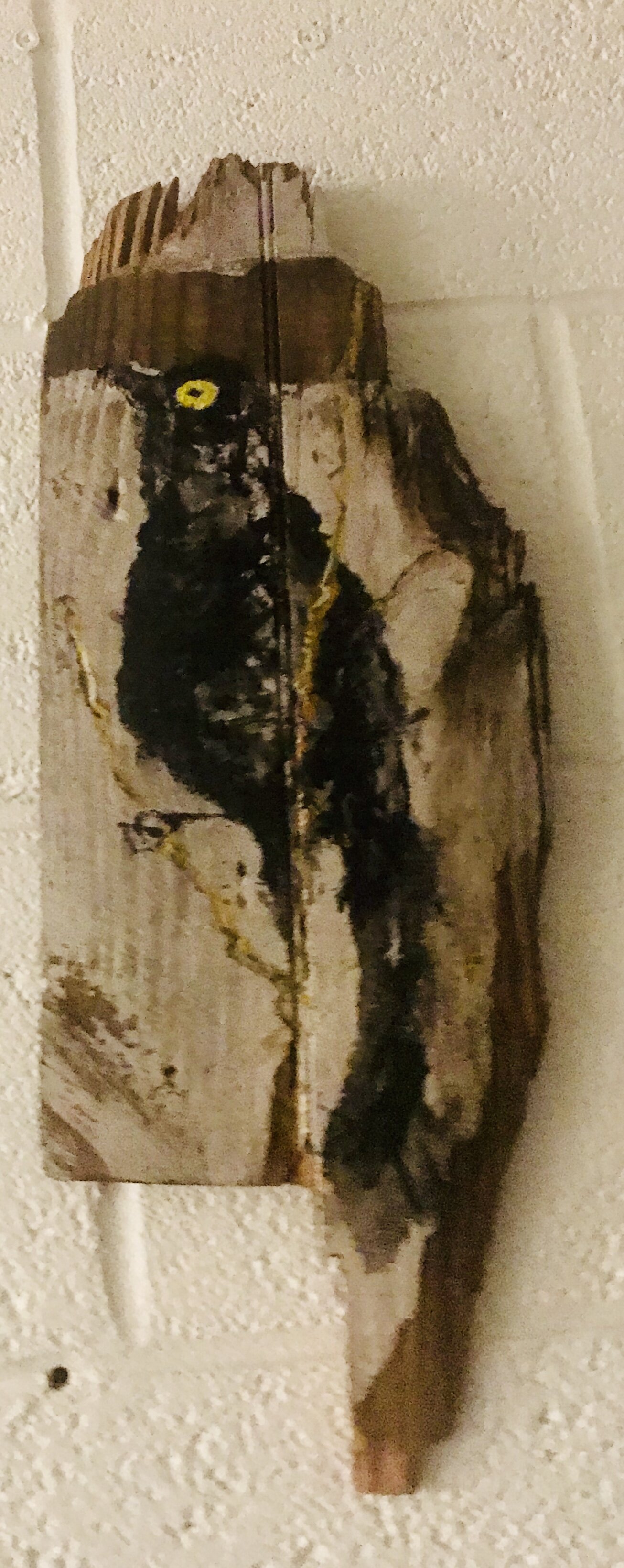   BLACKBIRD ON WOOD 