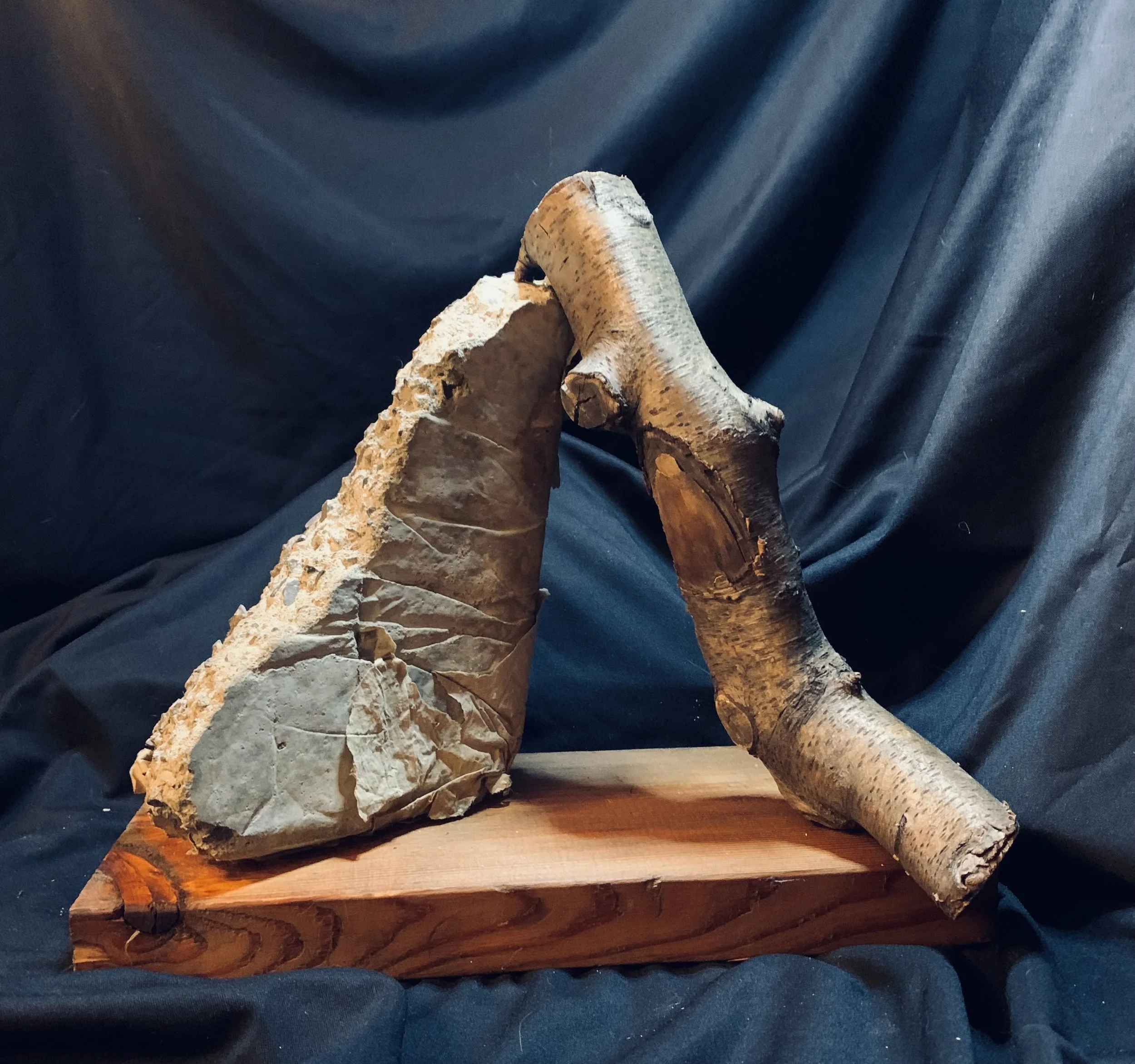 SPLINT