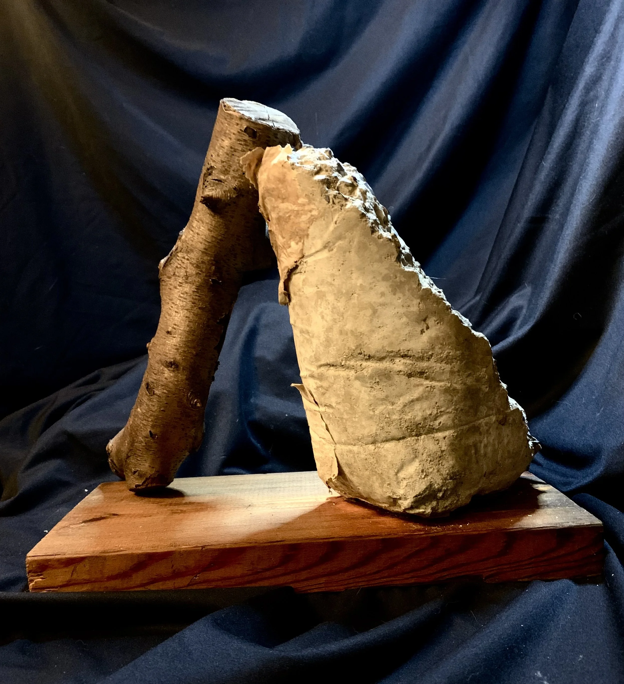 SPLINT rear