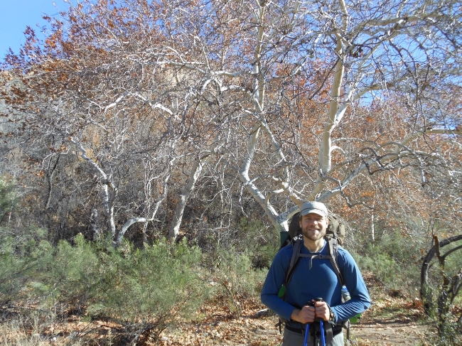 Daniel, on a backpacking trip in the Superstition Wilderness in Arizona, after the unexpected discovery of a grove of sycamores near a natural spring.