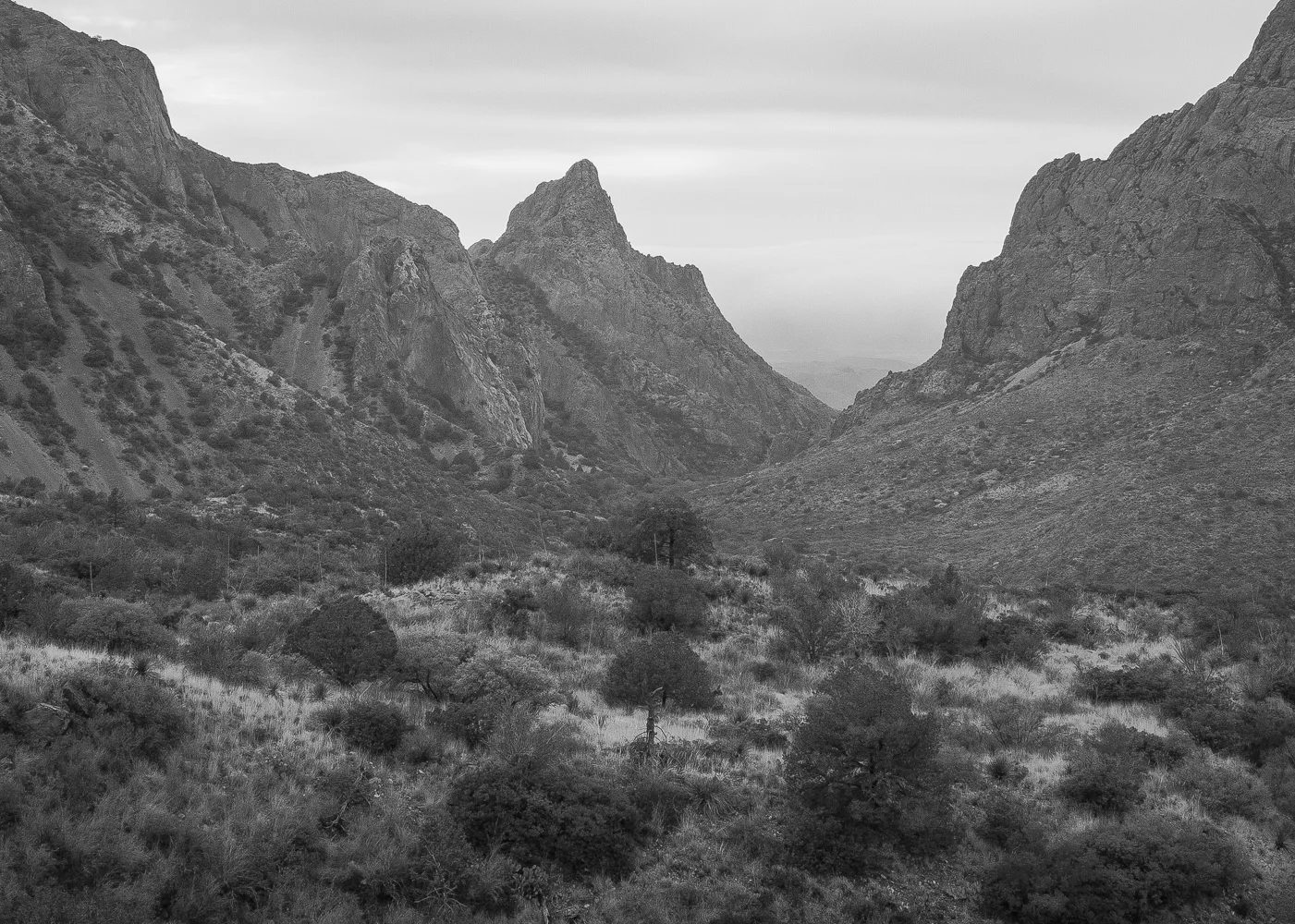 Chisos Basin, Texas