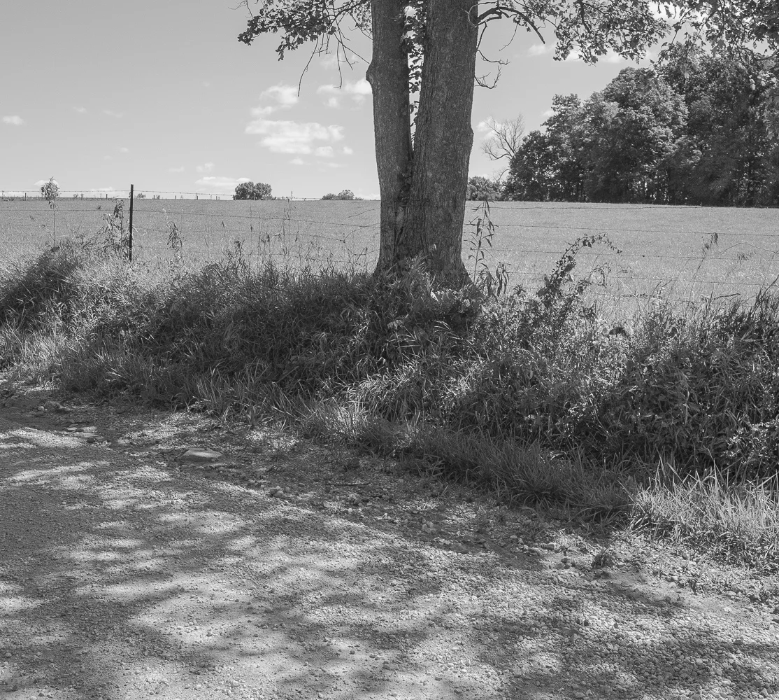 Dappled Road, Indiana