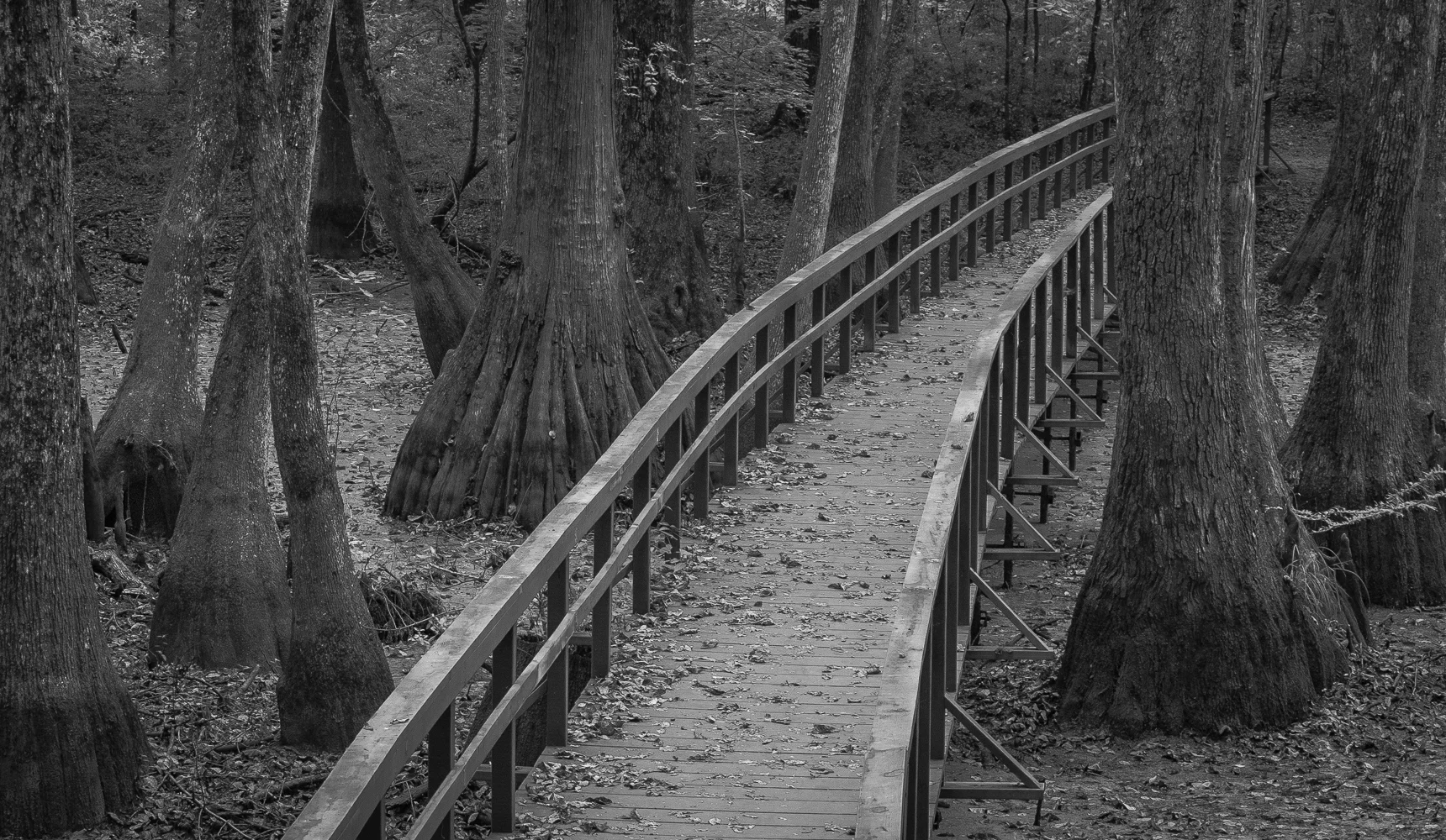 Footbridge, Mississippi