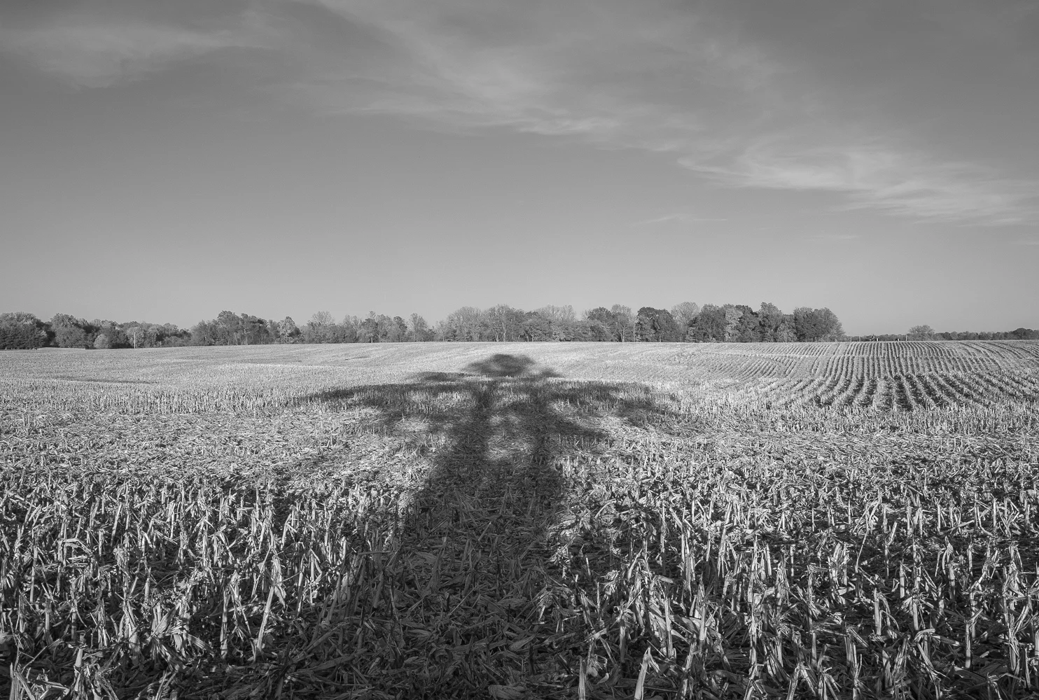 Double Walnut, Indiana