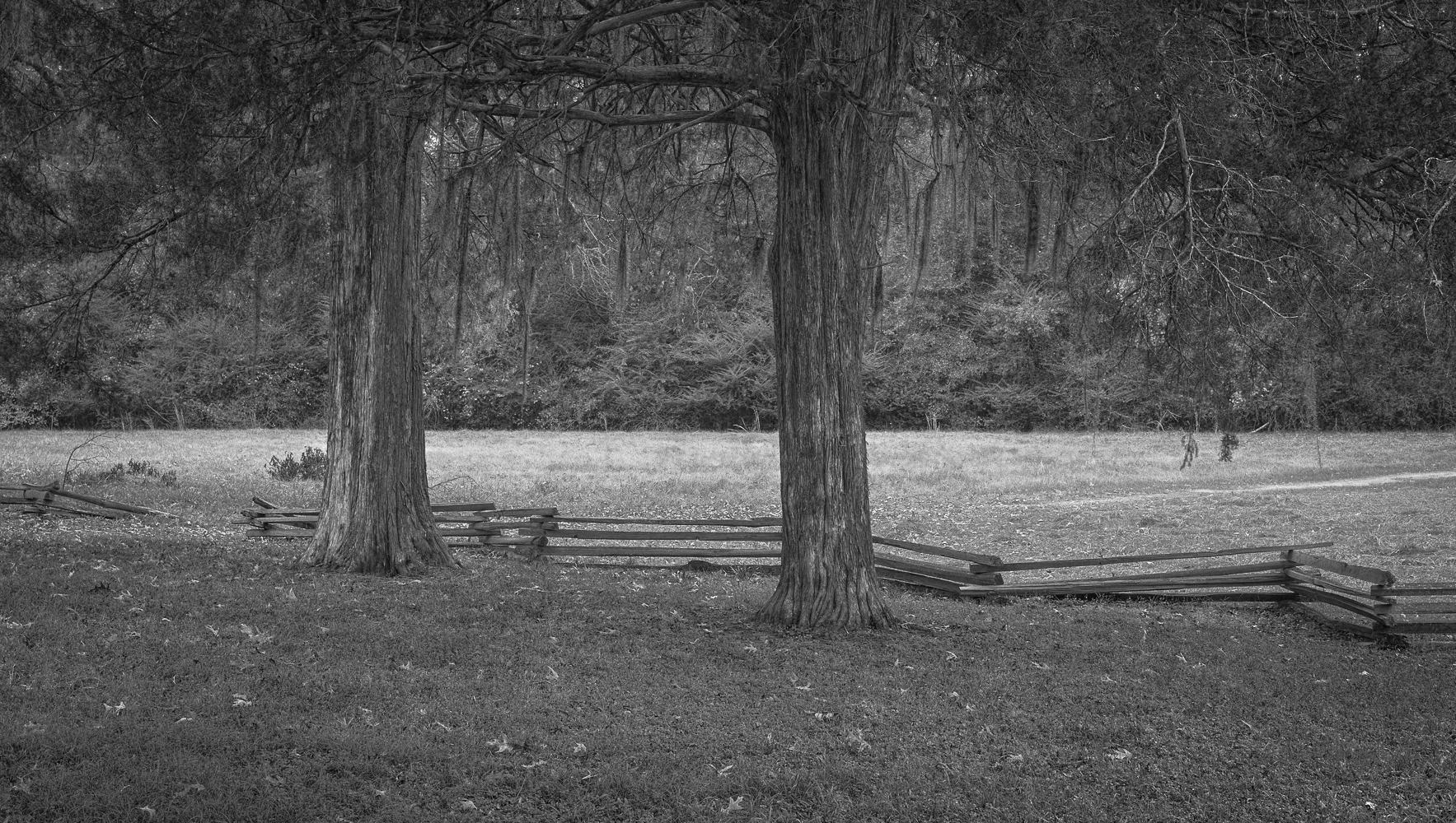 Split Rail Fence, Natchez Trace, Jefferson County