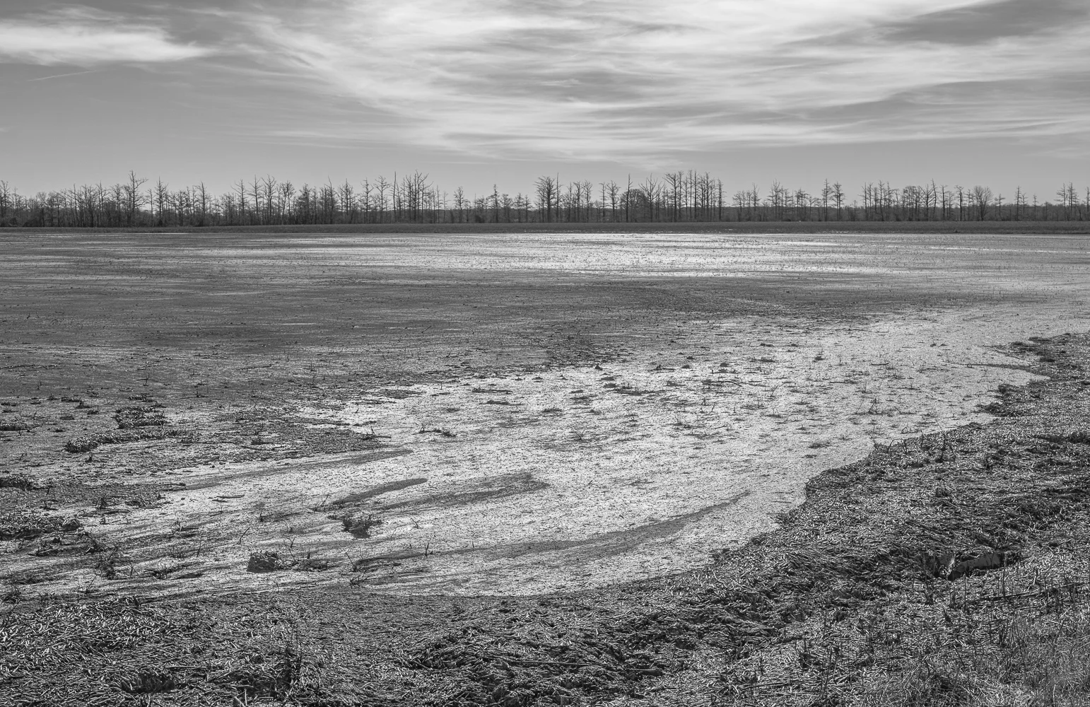 Runoff Patterns, LeFlore County