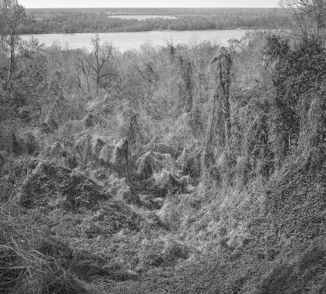 River Bluff, Natchez