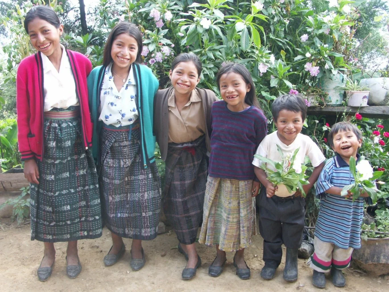PICT1246.jpg