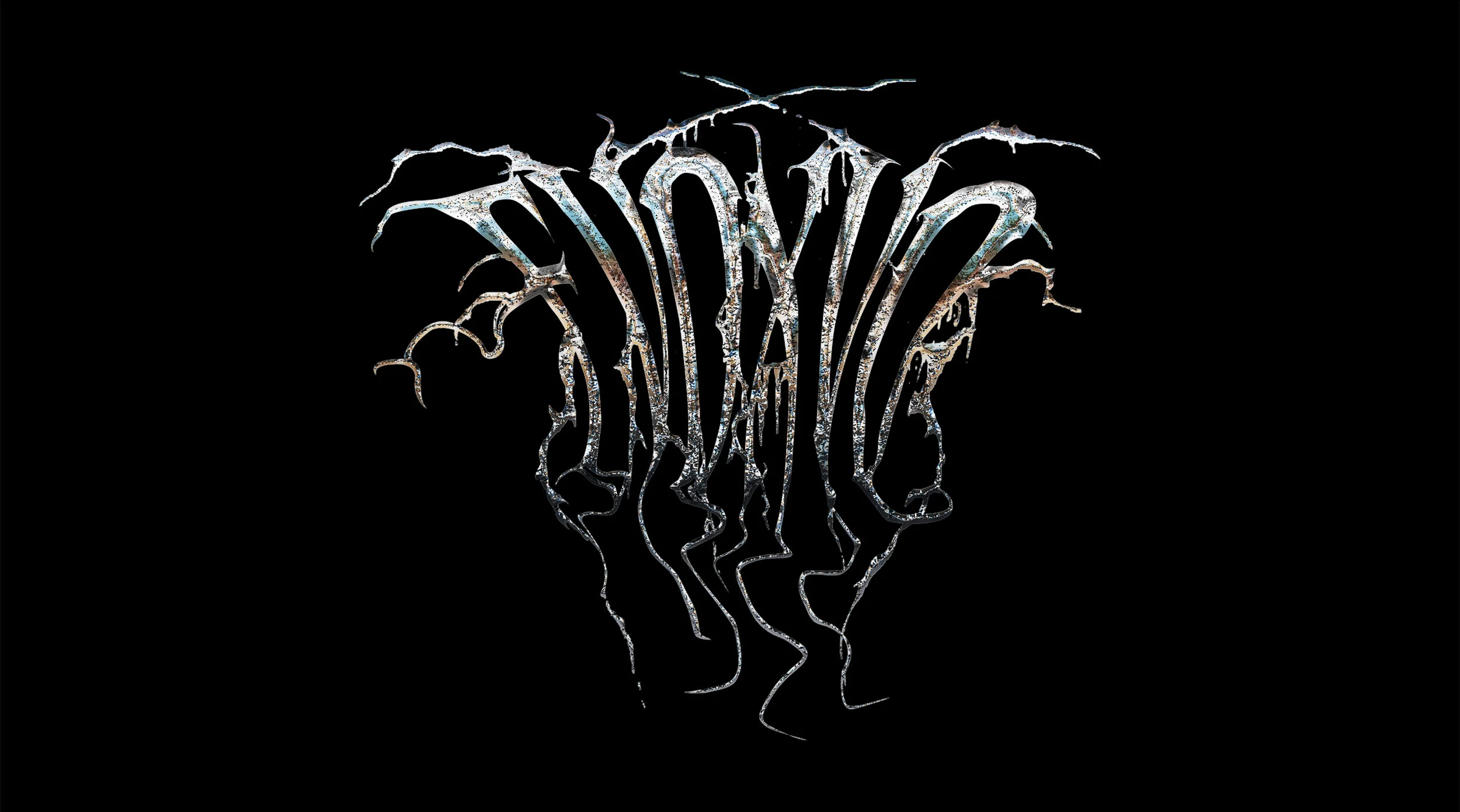 fvdxvdlogo.jpg