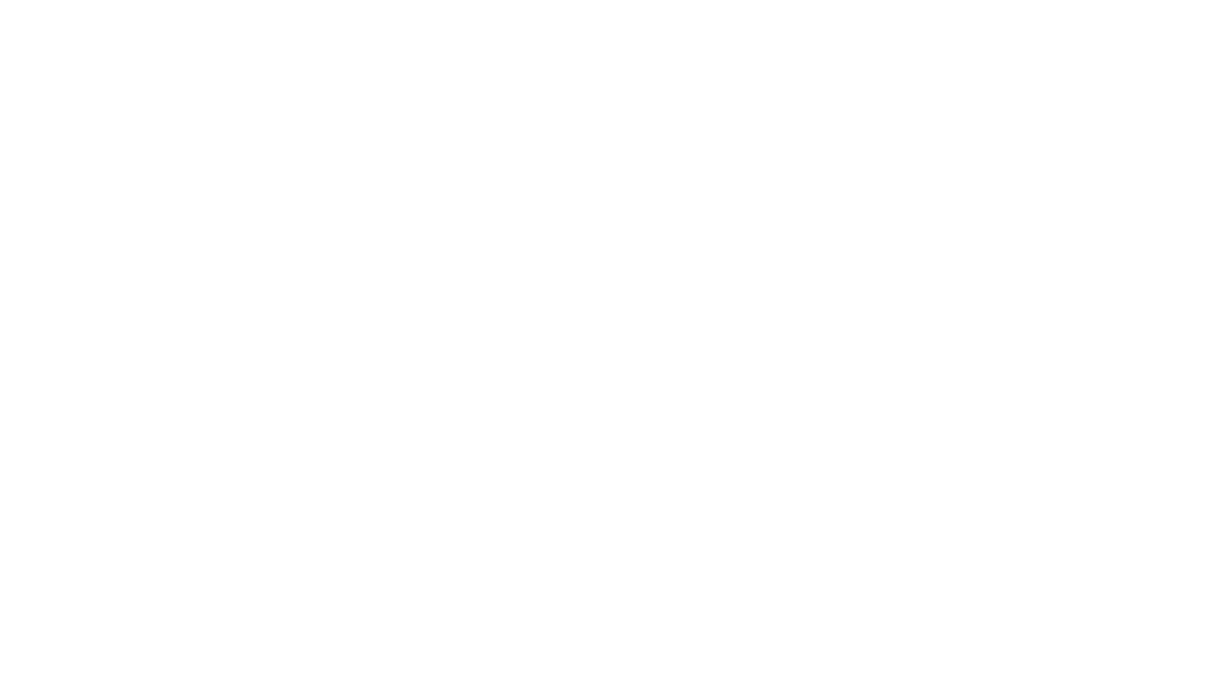 TRINITY SOURCE GROUP INC.