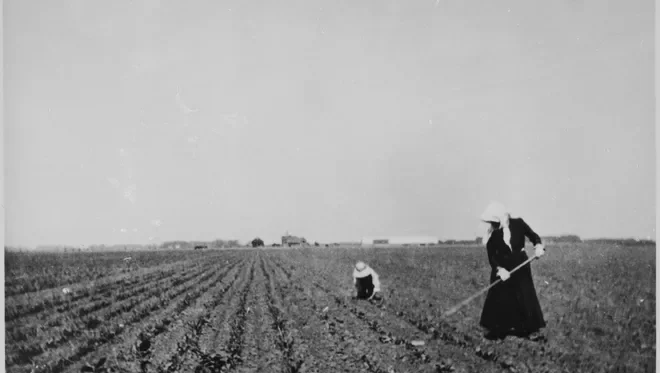 sugarbeet woman.webp