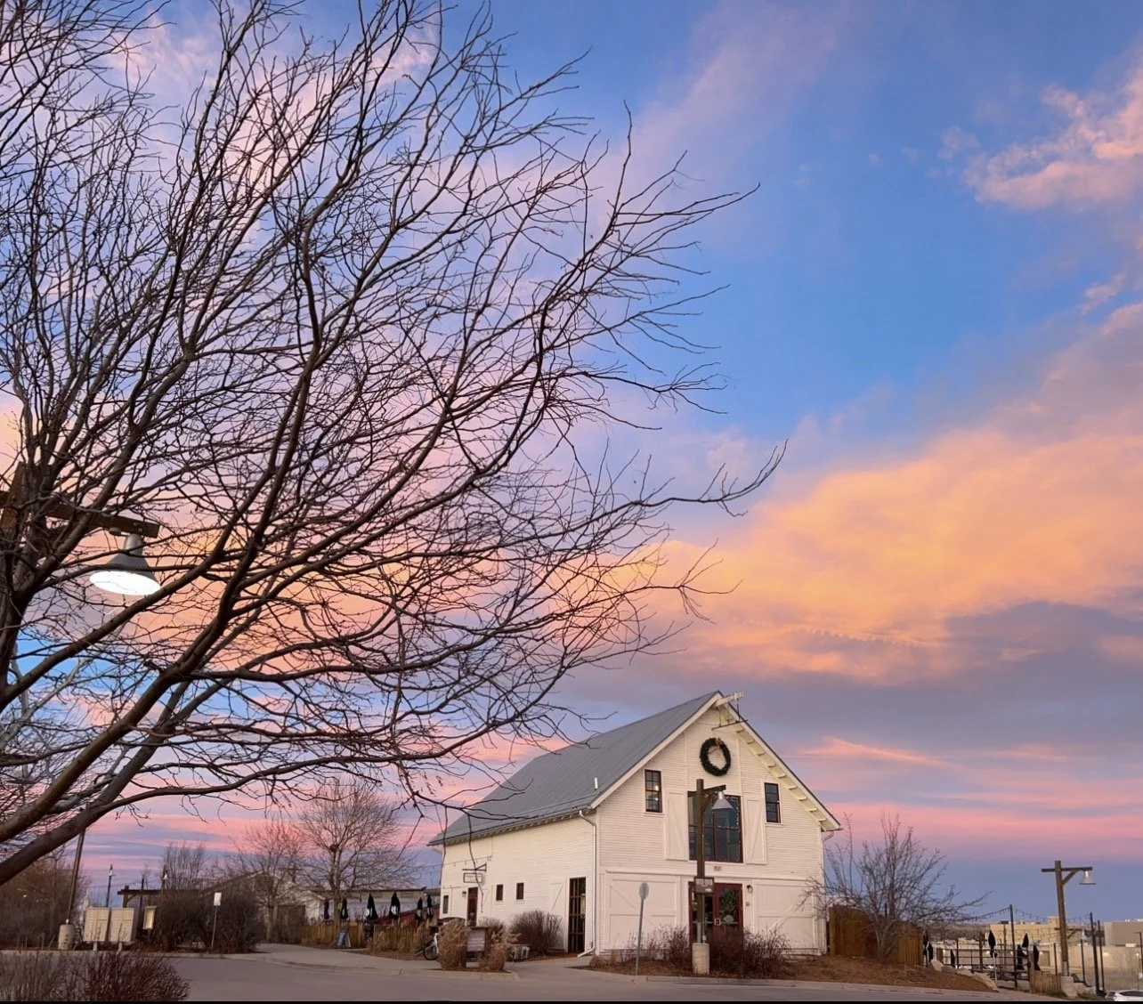 Photo Dec 24 2025, 1 00 17 PM.jpg