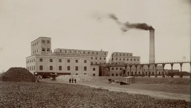 sugar beet farm CSU .webp
