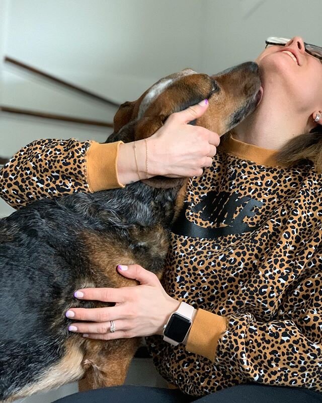 Yes, I&rsquo;m just as extra in my sweats as I am in my power outfits 😊🐆 My new normal: sweats, no makeup, and constant puppy kisses. Jax for one is loving the current stay at home status.