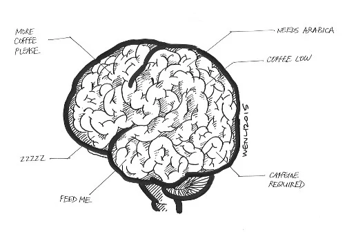 brain drawing.JPG