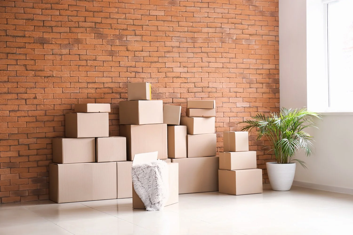 Where to recycle in Chicago after your move