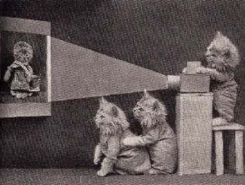kitten movie.jpg