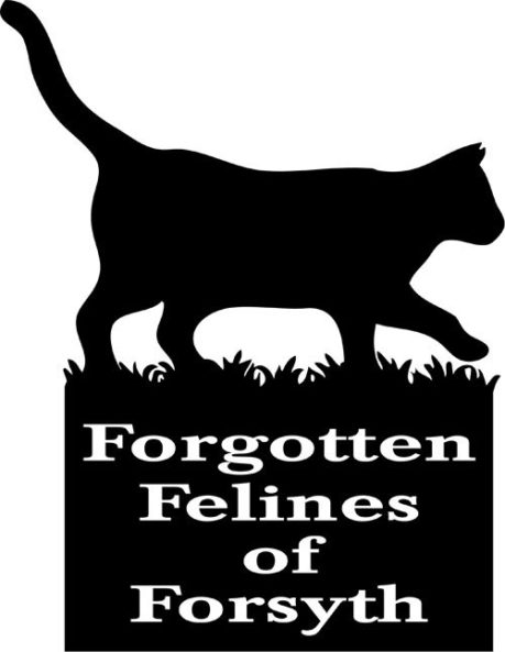 Winston-Salem, NC - Forgotten Felines of Forsyth