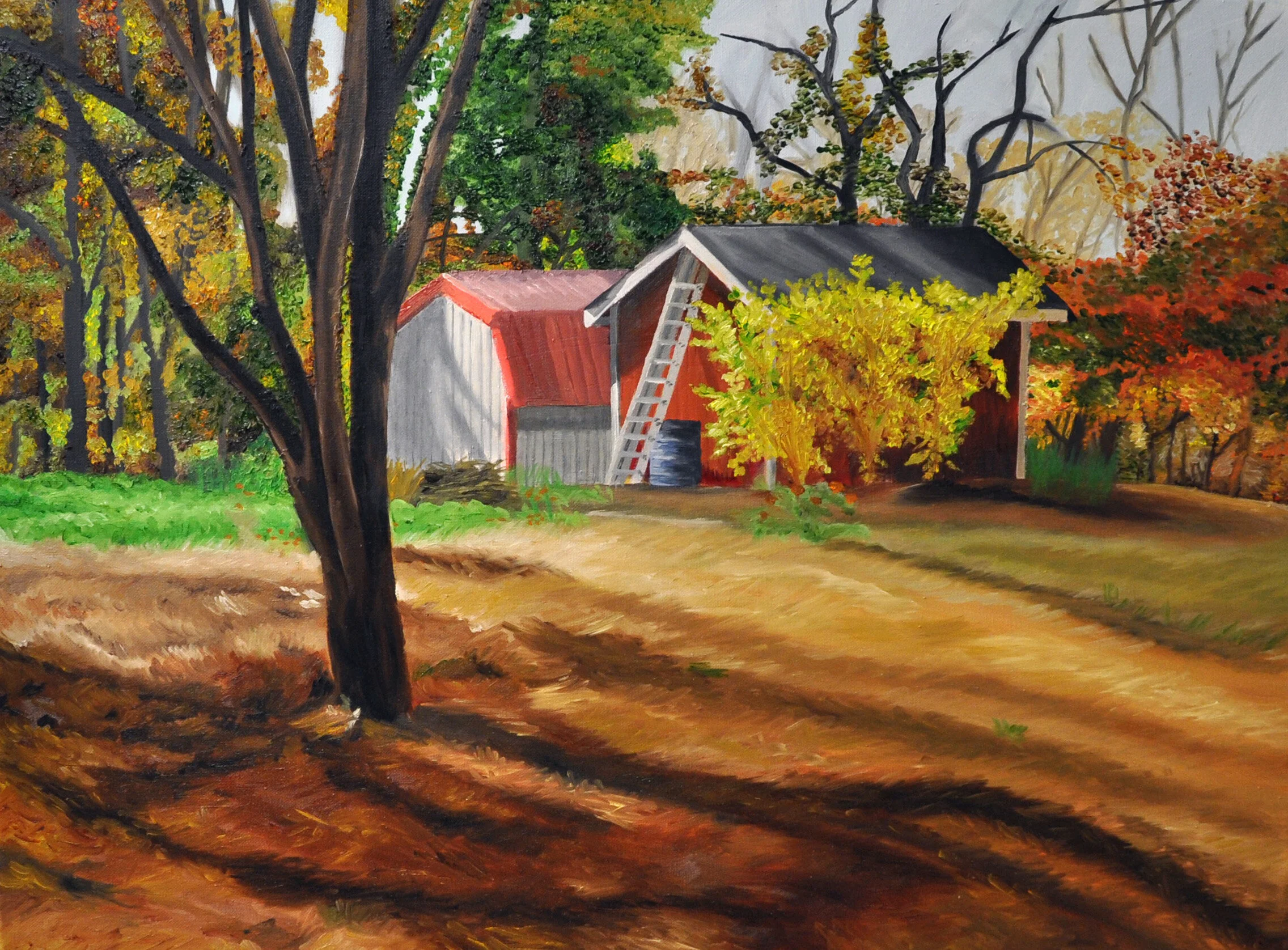 'Neighbor's Yard and Grandfather's Shed'