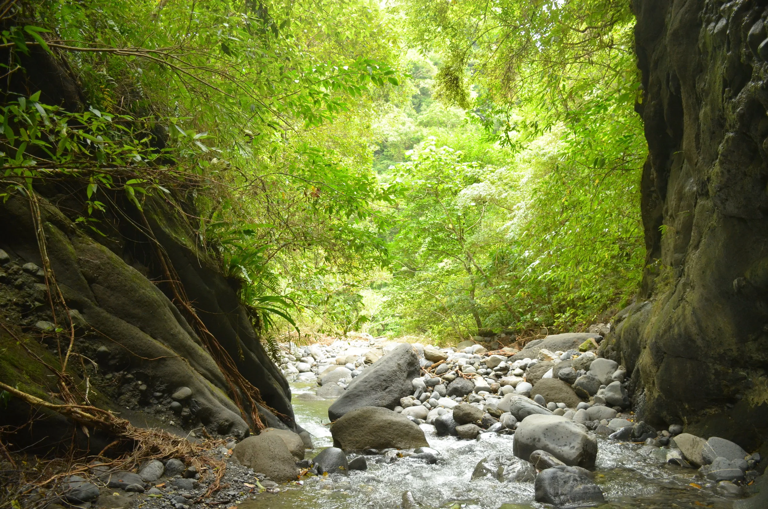 十二號溪，成長中的峽谷