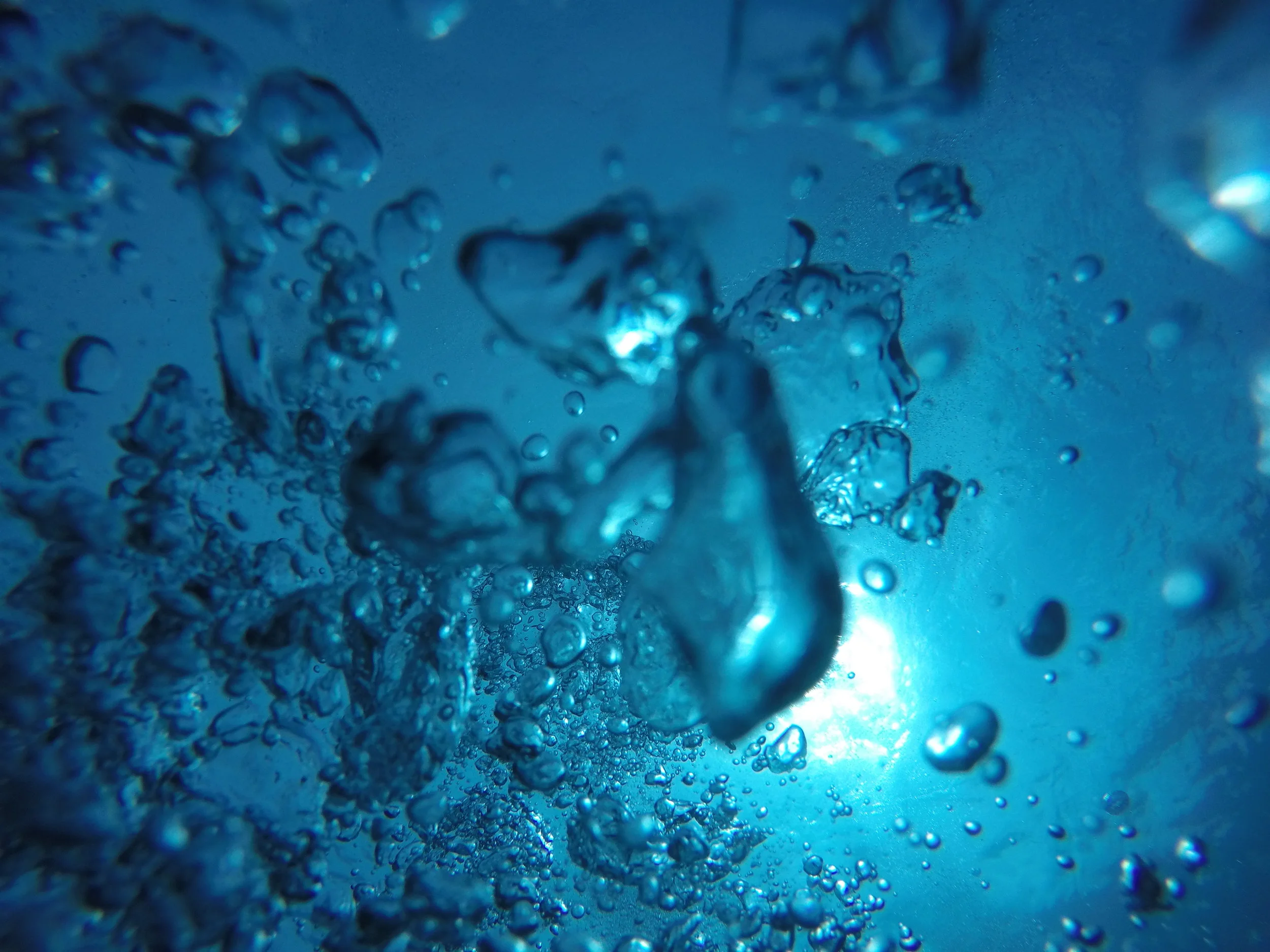 花蓮潛者好去處 - 石梯坪