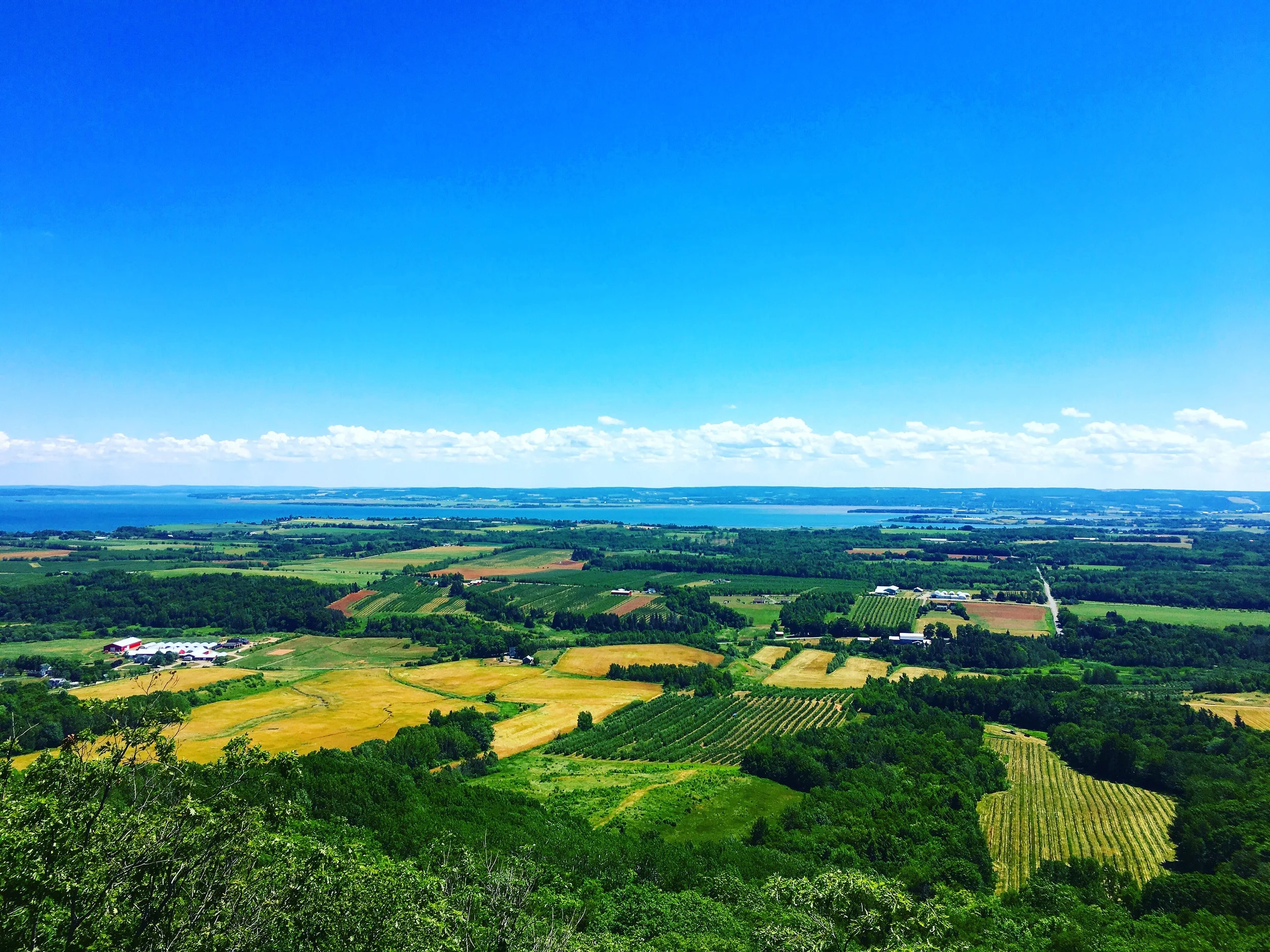View of the area by Minas Basin from the Lookoff near Blomidon  