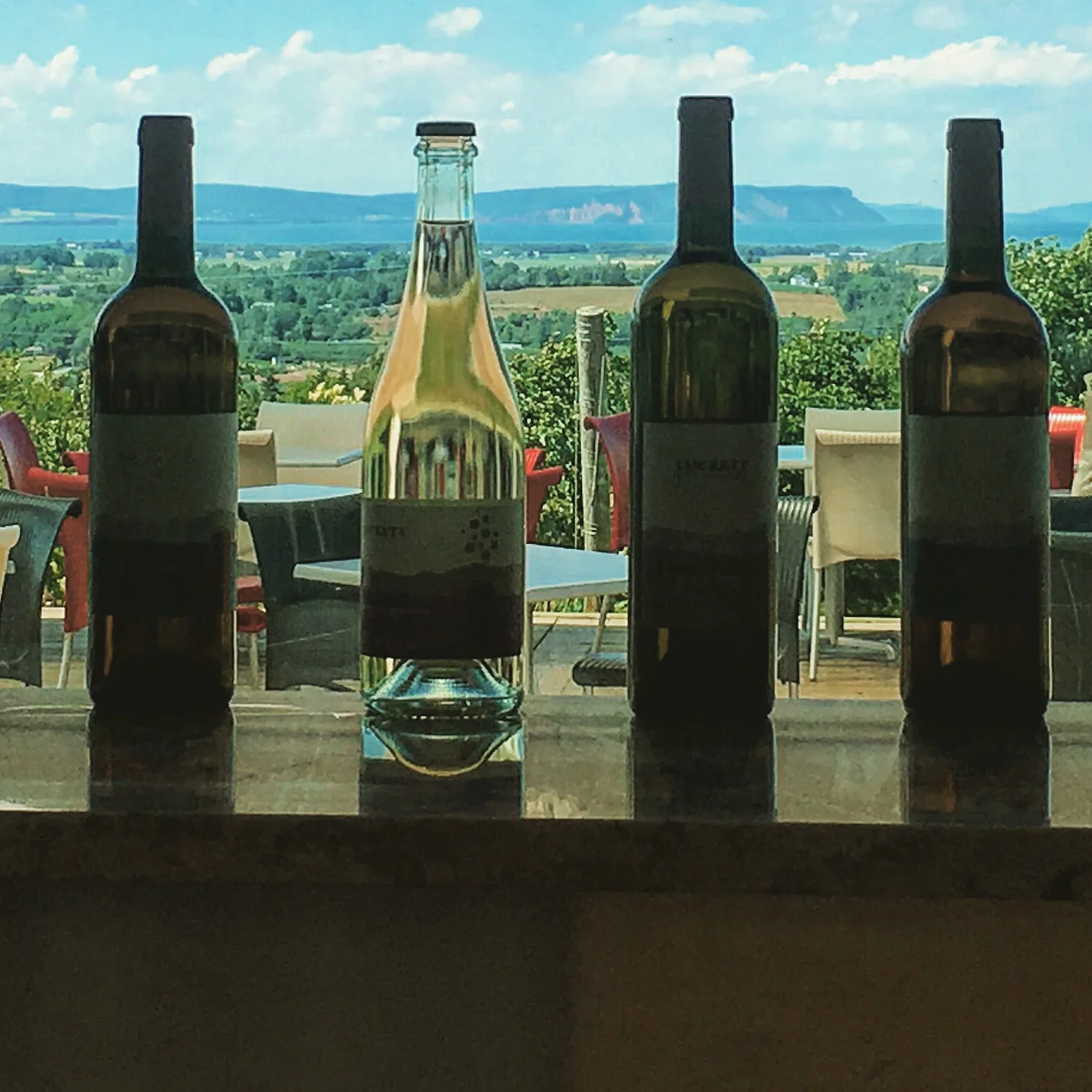 Luckett Vineyard wine tasting  
