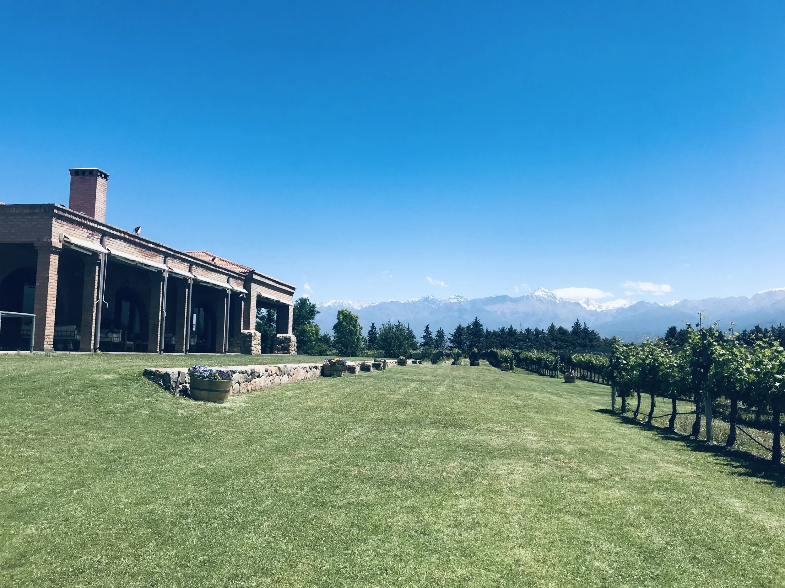 View from Bodega Andeluna
