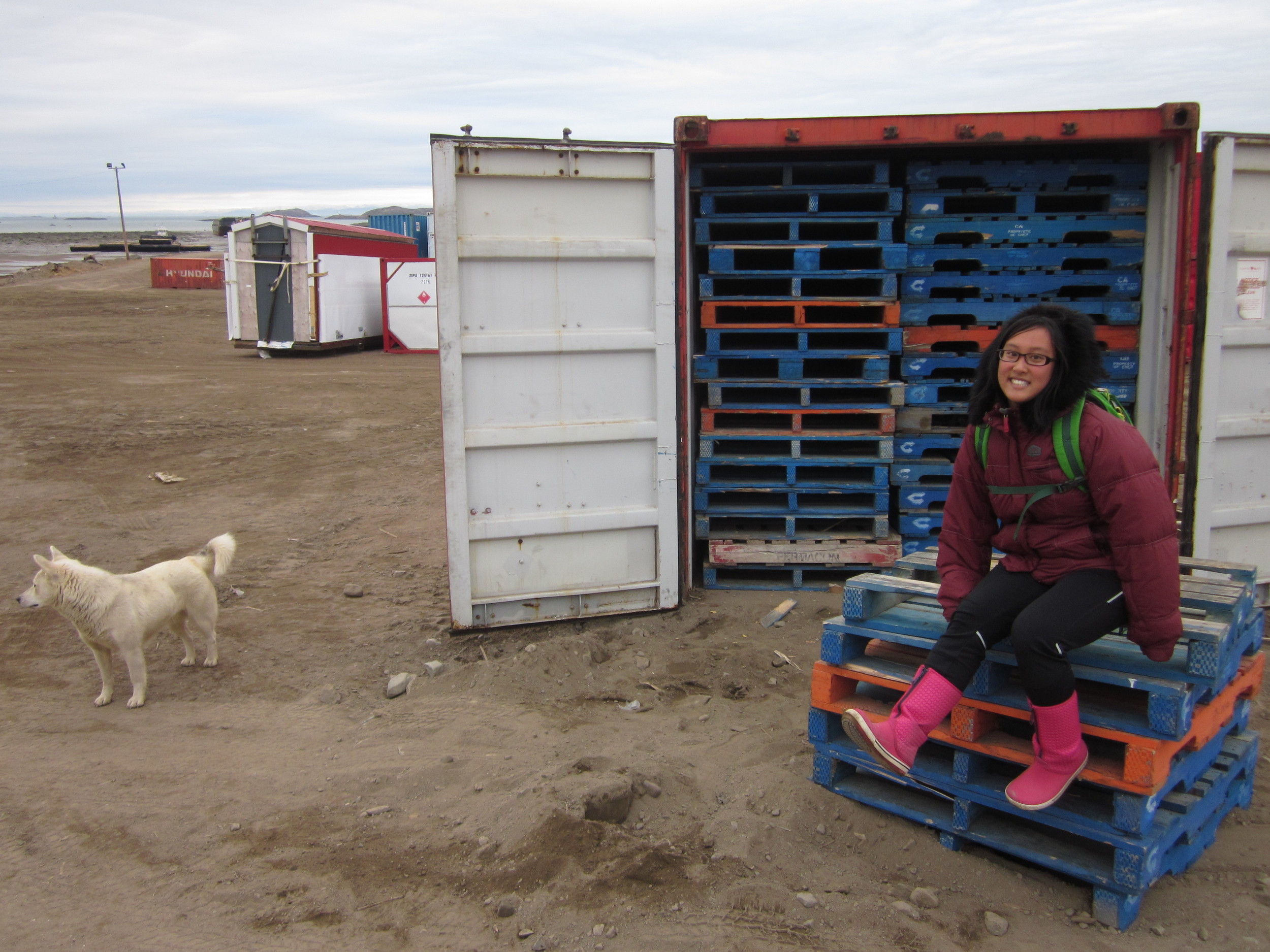 After spending most of her life in Vancouver, British Columbia, Sandi Chan plunders forward in her Katimavik-life-goal of living in all parts of Canada. Having arrived in Iqaluit, Nunavut in May 2013, she now only needs the Yukon and Newfoundland to complete the map. Spare a couch anyone?