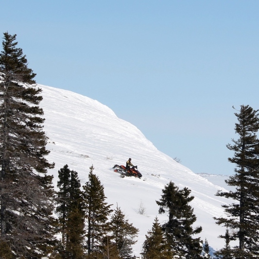 Snowmobiler spotted through the trees.