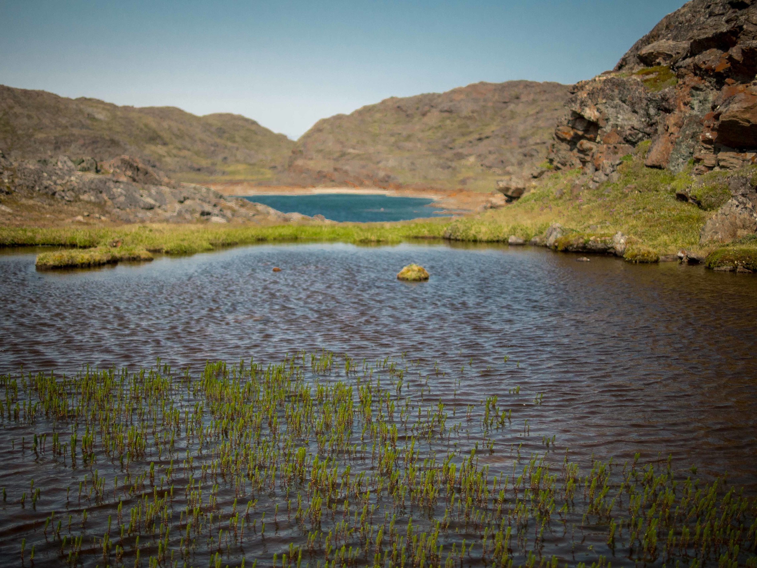 Freshwater basin.