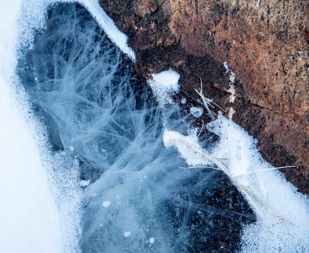 Sometimes the best shot is not the big wide landscape, but to instead focus on the small details often missed right under our feet. Photograph by Renata Mares.
