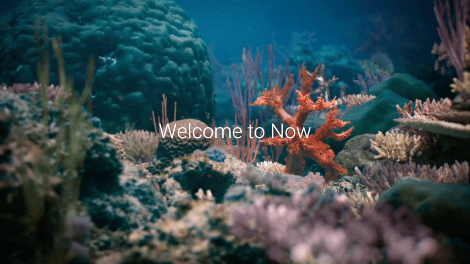 dell___welcome_to_now_-_tourists (1080p).gif